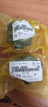 54584J5000-BUSH-FR LWR ARM(G)