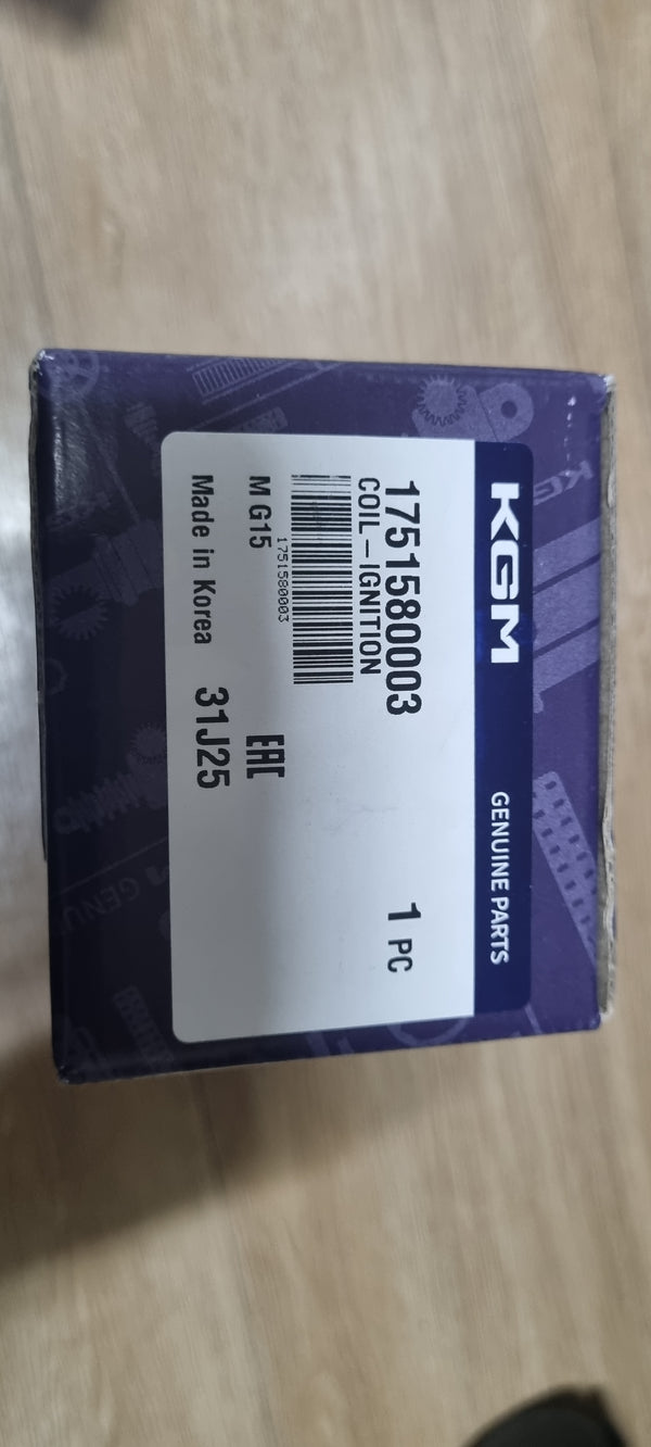 1751580003-COIL-IGNITION