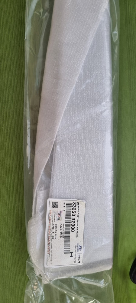 832503Z000-GARNISH ASSY-RR DR FR FRAME LH