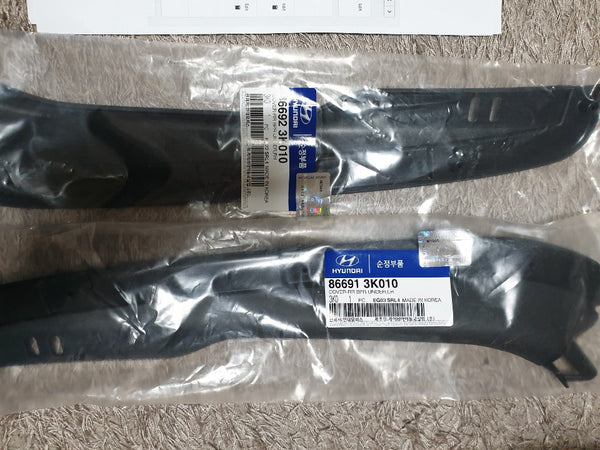 866913K010-COVER-RR BPR UNDER LH