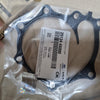 251244X000-GASKET-WATER PUMP