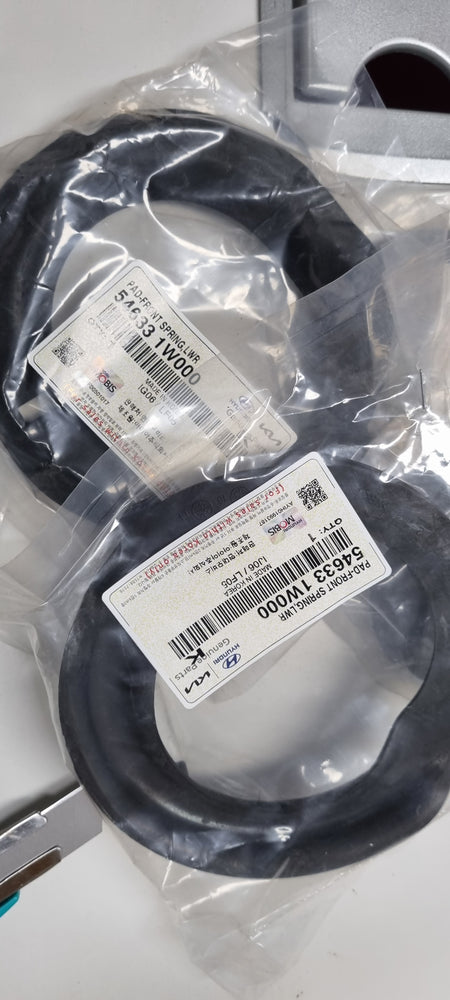 546331W000-PAD-FR SPRING LWR