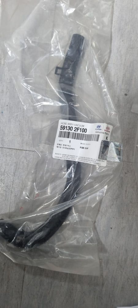 591302F100-HOSE ASSY-VACUUM