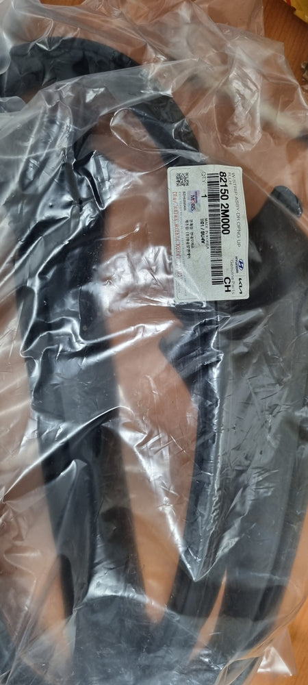 821502M000-W/STRIP ASSY-DR OPNG UPR LH