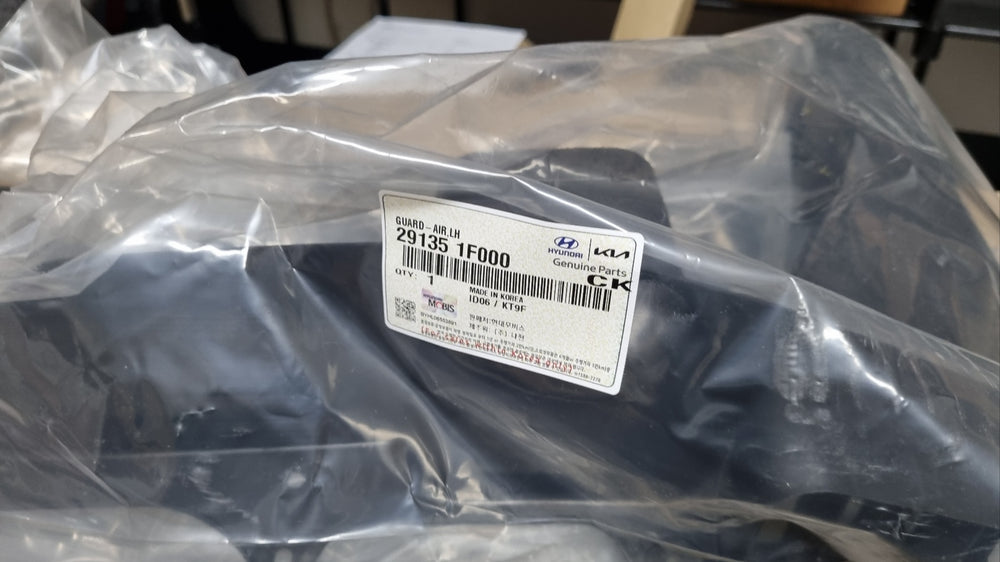 291351F000-GUARD-AIR LH