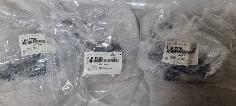 81800P2100-POWER LATCH ASSY-PWR T/GATE