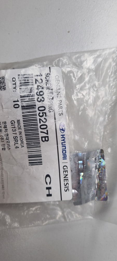 1249305207B-SCREW-TAPPING