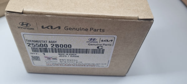 255002B000-THERMOSTAT ASSY