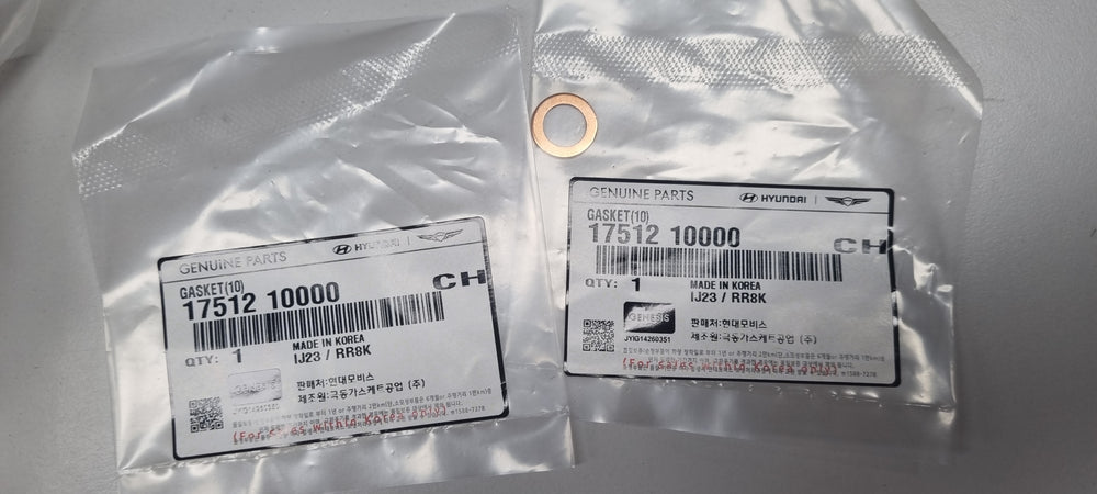 1751210000-GASKET(10)