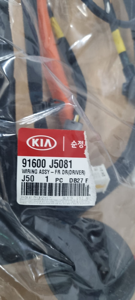 91600J5081-WIRING ASSY-FR DR(DRIVER)