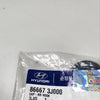 866673J000-CAP-RR HOOK