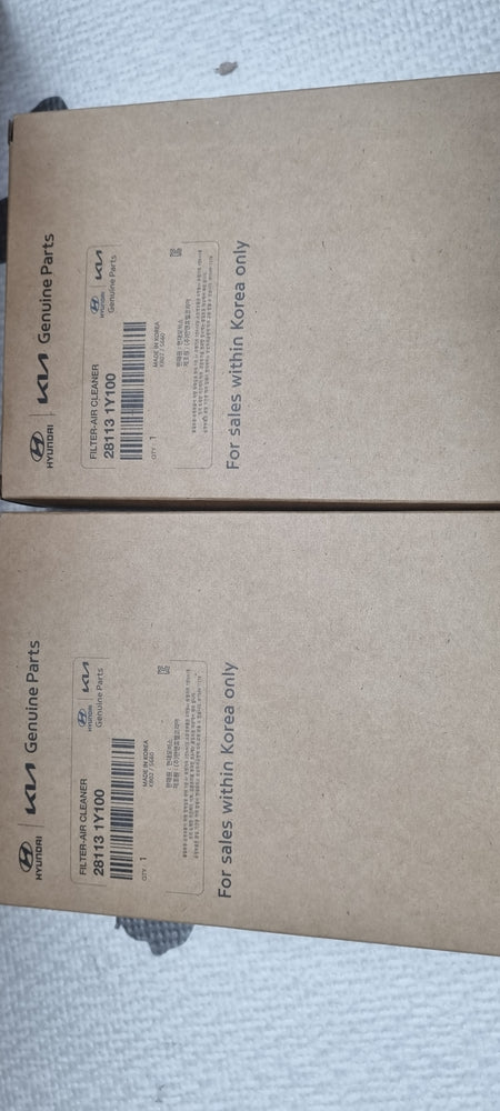 281131Y100-FILTER-AIR CLEANER