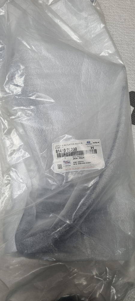 814102L200-LATCH & ACTUATOR ASSY-RR DR LH