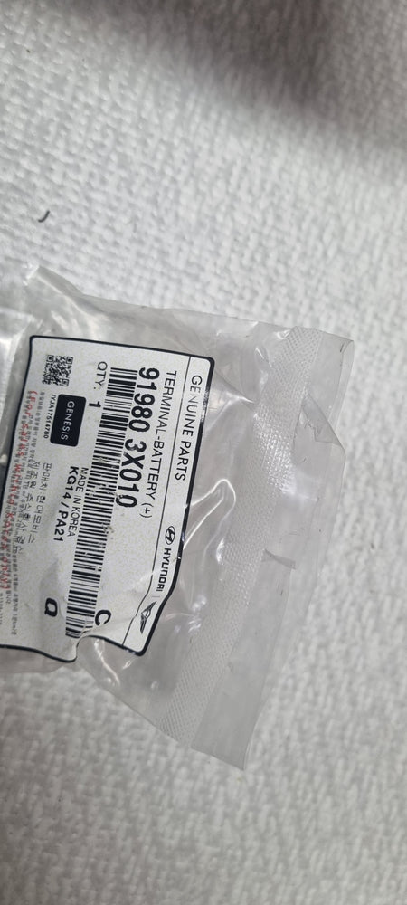 919803X010-TERMINAL-BATTERY (+)