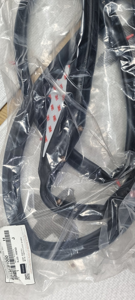 82140B1000-W/STRIP ASSY-FR DR SIDE RH