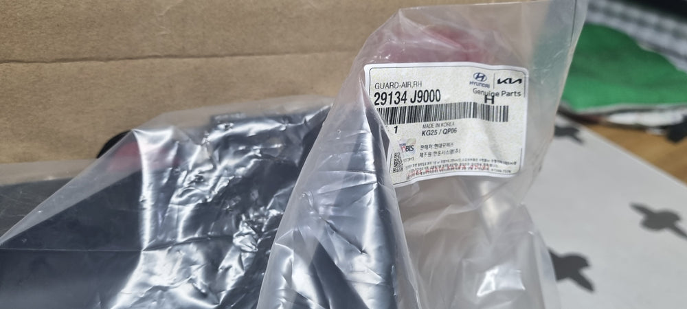 29134J9000-GUARD-AIR RH
