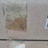 314254Z000-PROTECTOR-CANISTER