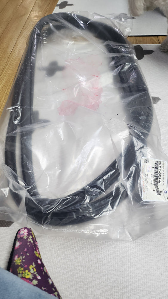 821202W000RYN-W/STRIP-DR BODY SIDE RH