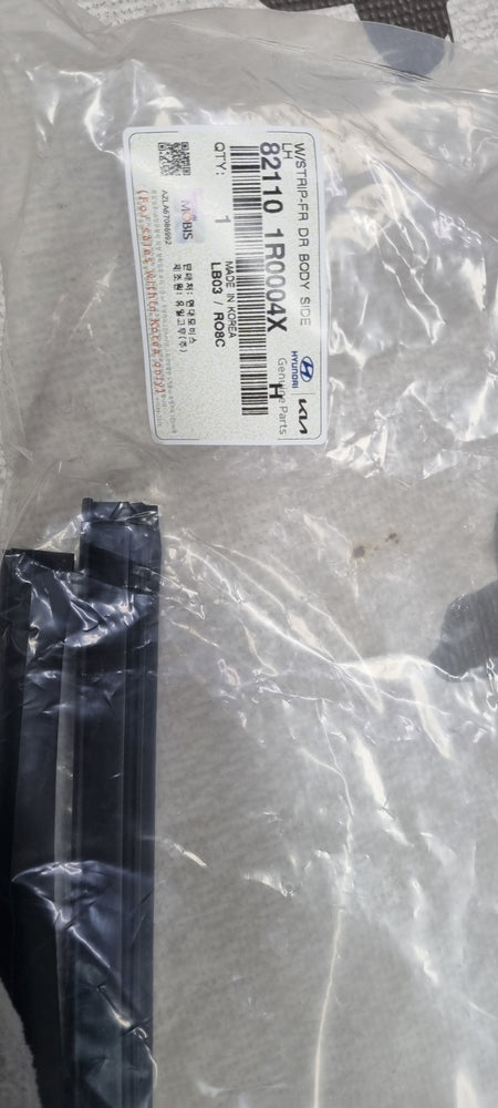 821101R0004X-W/STRIP-FR DR BODY SIDE LH