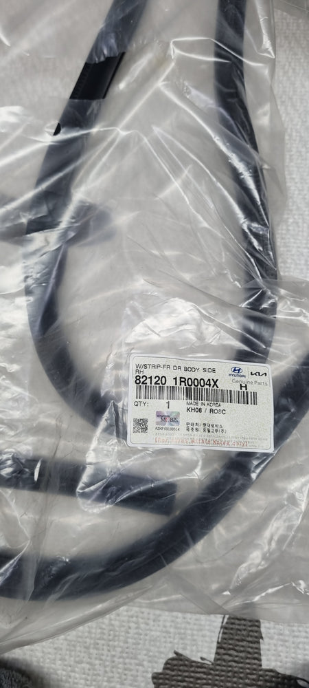 821201R0004X-W/STRIP-FR DR BODY SIDE RH